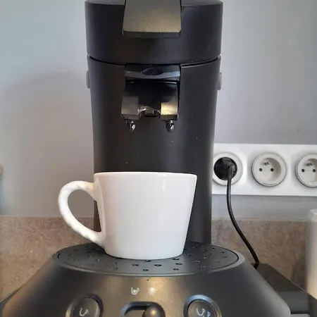 Maison Spacieuse 3 Chambres, Billard, Proche Zenith, *