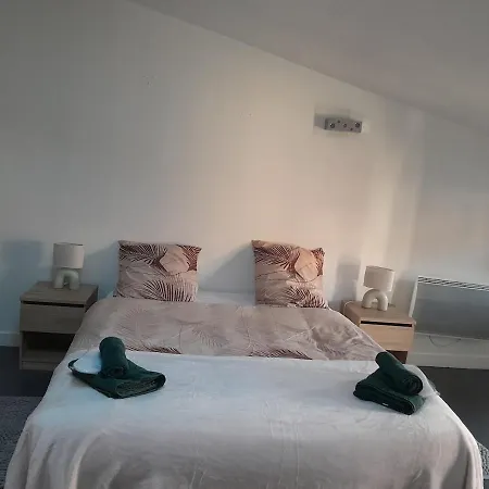 Maison Spacieuse 3 Chambres, Billard, Proche Zenith, *