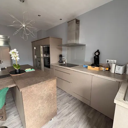 Maison Spacieuse 3 Chambres, Billard, Proche Zenith, Vakantiehuis *