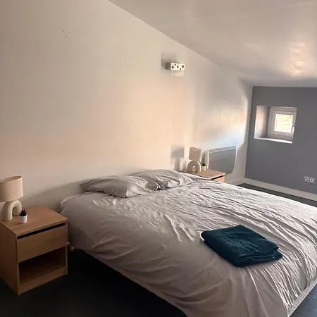 Maison Spacieuse 3 Chambres, Billard, Proche Zenith, Vakantiehuis *